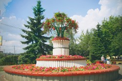 МП «ДЕЗ ЖКУ», г. Химки